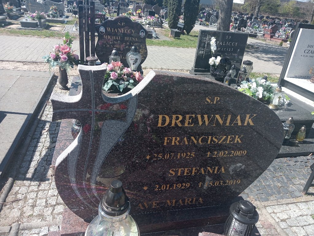 Grób Franciszek Drewniak